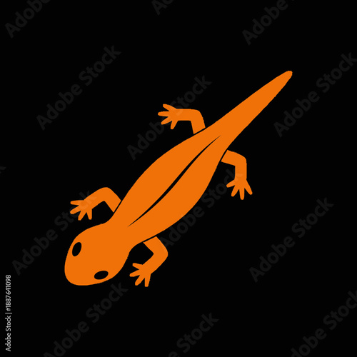 Illustration of an orange salamander with black eyes and four limbs.