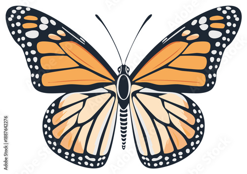 Vibrant Monarch Butterfly with Orange and Black Wings Isolated on White