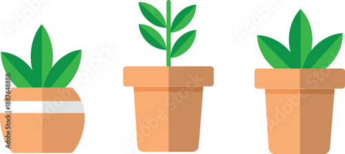 Set of growing plants in terracotta pots Vector