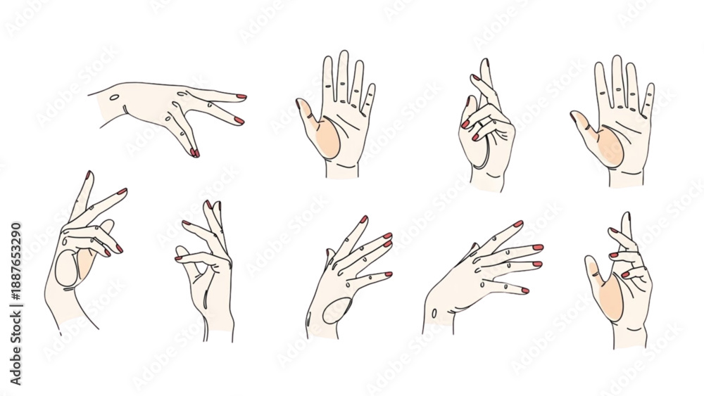 Fototapeta premium Various hand gestures and signs illustrated in a minimalist style on a clean background from different viewpoints