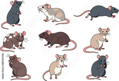 Cute mouse and rat vector set in multiple poses. Cartoon rodents with different colors and actions. Fun animal illustration for kids, education, and design projects.