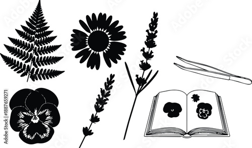 Line art herbarium composition with fern pansy daisy and lavender sprigs tweezers and open book showing pressed flowers flat vector botanical study detailed black close up