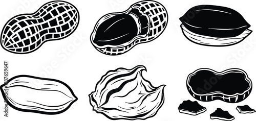 Line art peanut set with shelled and unshelled kernels in varied close up views top and side angles simple monochrome vector illustration for packaging and labels