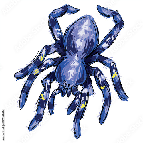 Gooty Sapphire Tarantula. Poecilotheria metallica. Colorful, hand-drawn, vector illustration. Picturesque. Unique detailed stylization. Print on sketchbooks, stickers, postcards, cups, clothes