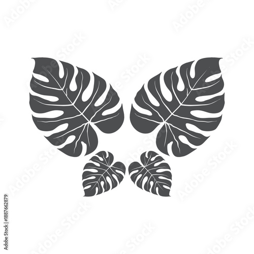 tropical leaf decoration plant and flower vector image