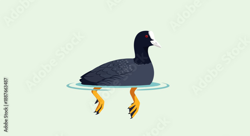 A dark bird with a white patch on its head swims serenely