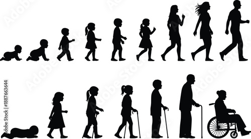 Human life cycle silhouette illustration showing baby to adult growth, aging process, senior stages, and lifespan development timeline isolated on white background