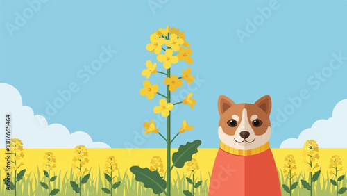 A cute dog in a red shirt stands in a field of yellow flowers