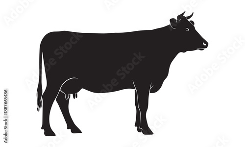 Cow graphic icon. Cow black silhouette isolated on white background. Vector illustration