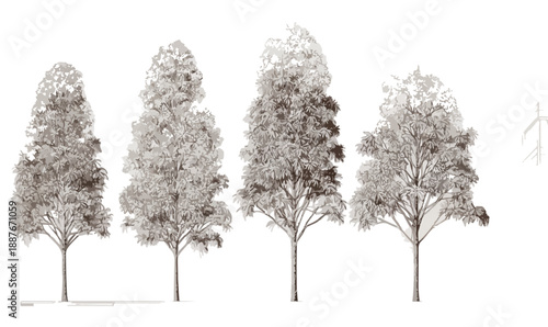 다양한 형태와 크기의 네 그루의 나무 일러스트, 투명한 배경에 섬세하게 그려진 흑백 도면