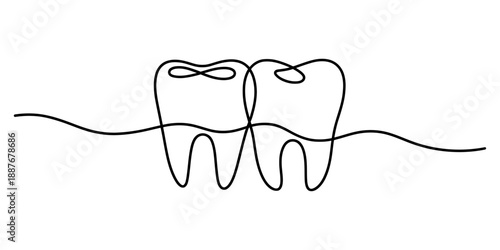 Continuous line art of two healthy human teeth, a minimalist design for dental care and hygiene concepts
