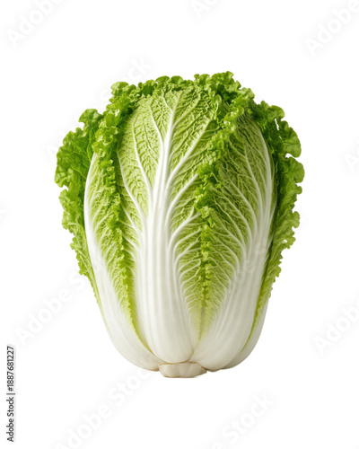 Foto fresh whole Napa cabbage standing upright, vibrant green leafy top and crisp white stalks with natural texture