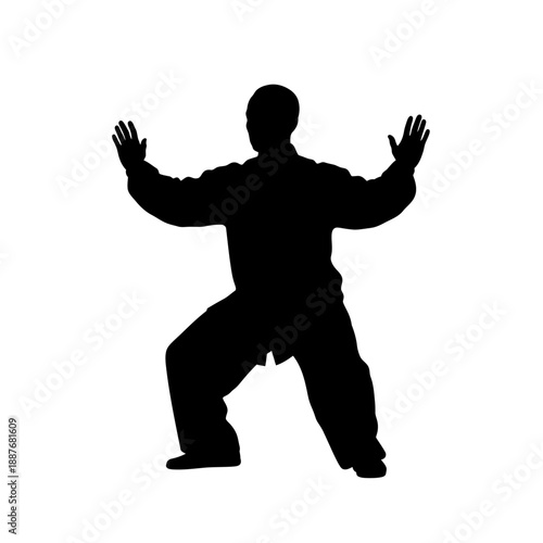 Silhouette of a man practicing Tai Chi or Kung Fu stance.