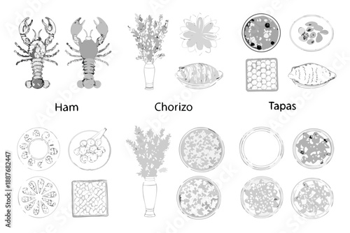 Culinary Illustration Seafood Herbs And Various Food Presentations