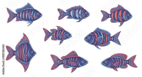 Colorful Striped Fish Illustration Set.
