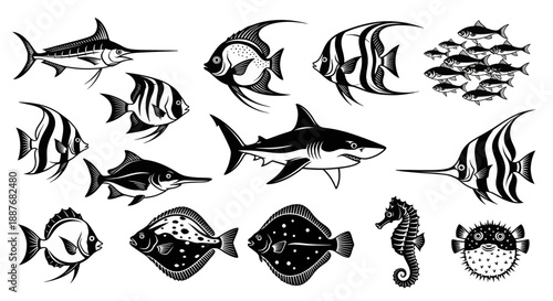 Hand-drawn collection of diverse marine fish and sea creatures.