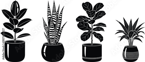 Here is the SEO-optimized metadata for your indoor potted plants vector illustration.