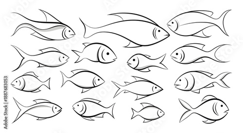 Hand-drawn fish sketches collection with various aquatic animal outlines.