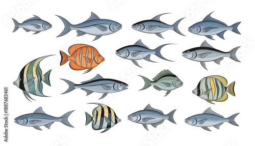 Collection of Various Fish Species.