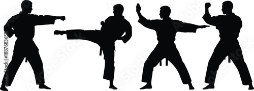 Martial arts silhouette, kicking, punching, defense, uniform, training, stance, motion, discipline, practice, combat, pose