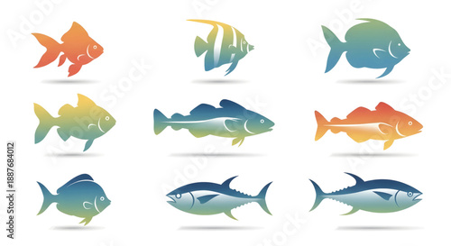 Various Colorful Fish Species Illustration.