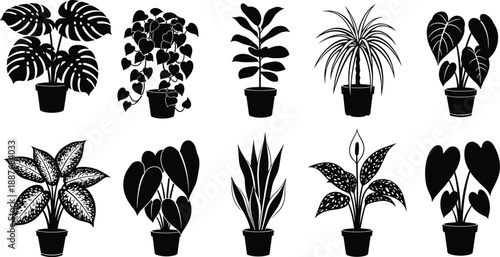 Houseplant silhouettes collection, indoor potted plants vector set, tropical foliage botanical icons, minimalist garden greenery graphics, nature isolated elements, exotic floral design. 
