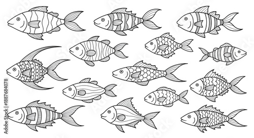 Collection of Hand Drawn Fish.