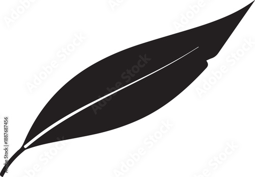 Elegant narrow elongated leaf with detailed central vein vector silhouette illustration line art graphic element