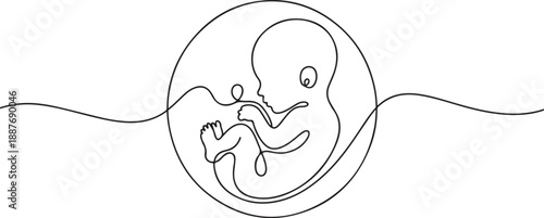 Baby embryo in womb, fetus one art line continuous drawing. one line Art icon drawing vector