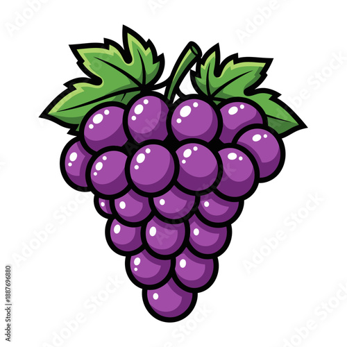 Vector illustration of grapes with leaves