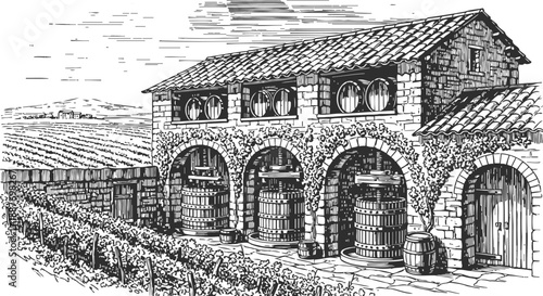 Rustic vineyard winery with stone building, wooden barrels and grapevine landscape in countryside