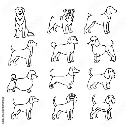 Minimal dog line art collection vector illustration of different breeds