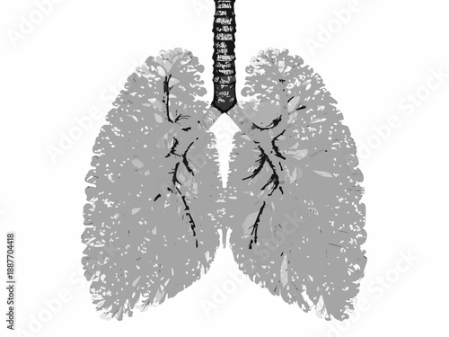 Anatomical illustration of human lungs showcasing bronchial tree and alveolar structure