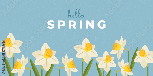 Hello Spring floral background with daffodils. Vector template for Mother’s Day, March 8, social media, banner