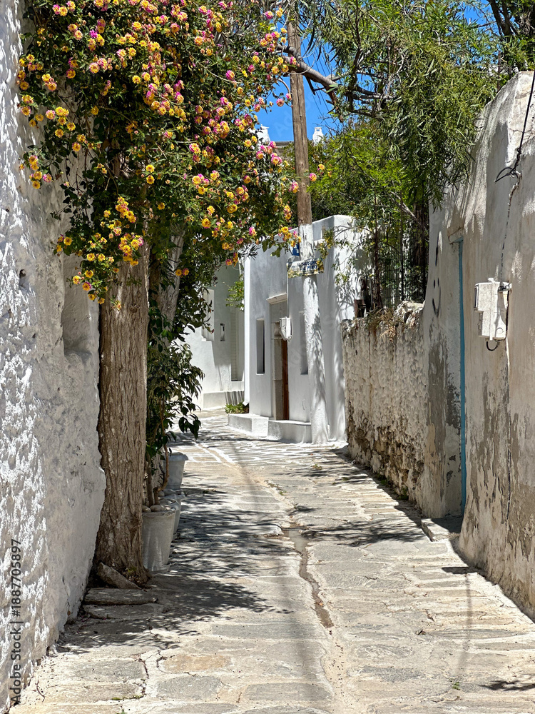 Obraz premium street in the old town in greece