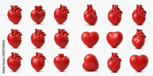 Set of human hearts and stylized heart shapes in red, isolated on a transparent background, representing health, love, and anatomy.