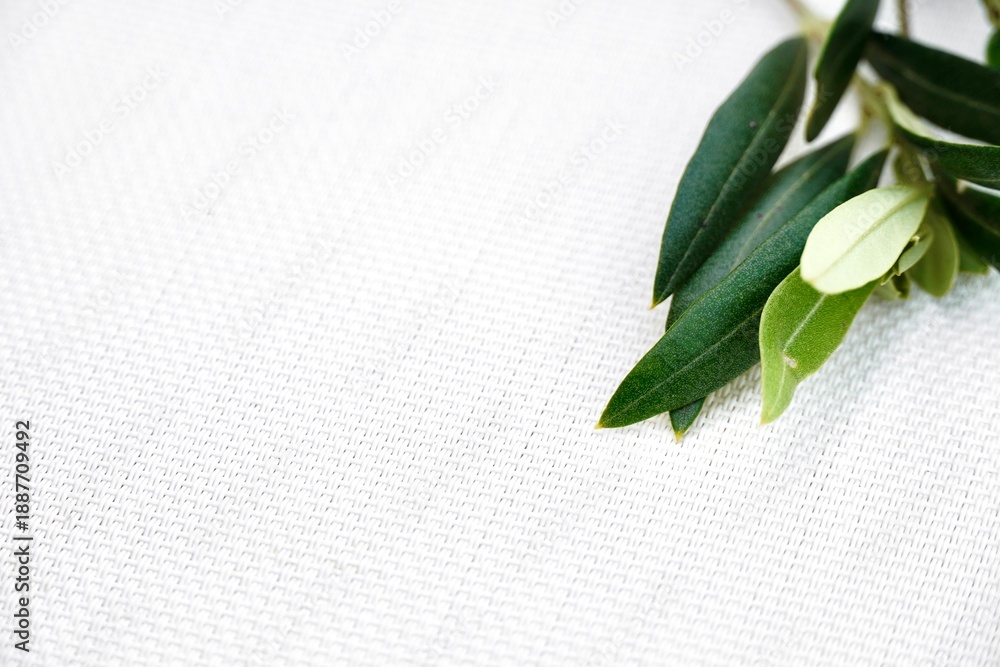 Obraz premium Olive branch on white textured linen surface - Minimalist natural background with negative space