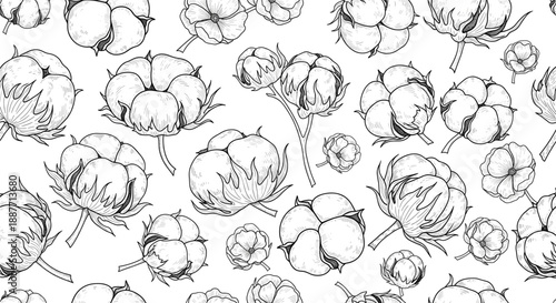Seamless cotton boll pattern illustration with hand drawn vintage botanical engraving style natural textile background design