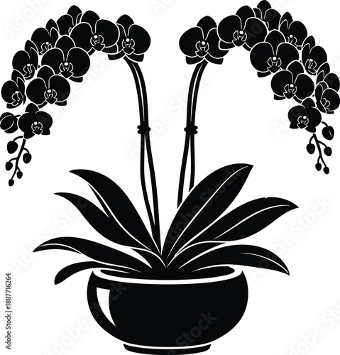 Black Silhouette of Potted Orchid Flowers, Elegant Tropical Houseplant with Blooming Petals and Leaves, Floral Nature Graphic Design Vector Illustration