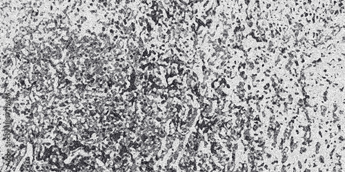 Abstract monochrome textured background with organic patterns and speckled details creating a grunge or distressed visual effect perfect for graphic design and artistic overlays