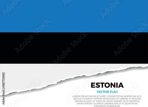 Flag of Estonia. Creative Torn Paper Edge Effect on transparent background