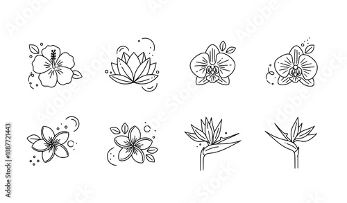 Tropical Flower Icon Pack | Minimal Line Vector Icons with Editable Stroke
