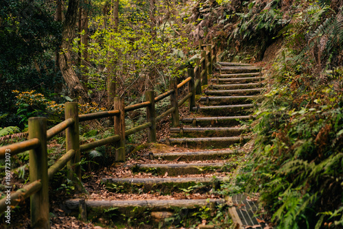Photography shikoku, japan - 3 august 2025 a wooden staircase leading up the hillside in a w