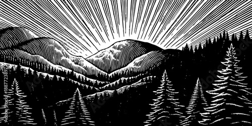 Sunrise over the forest