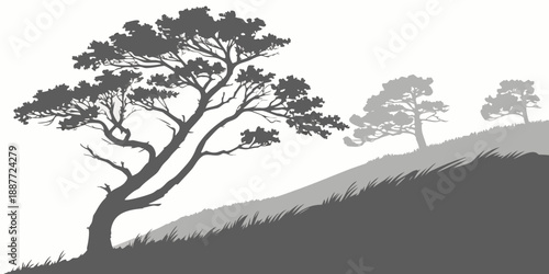 Silhouette of trees on a hill