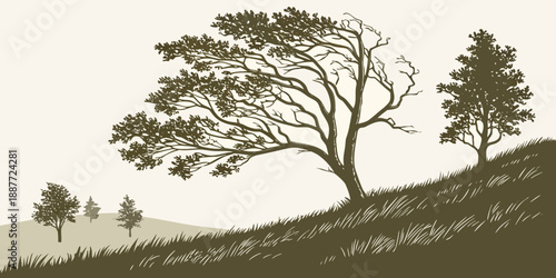 Serene landscape with trees