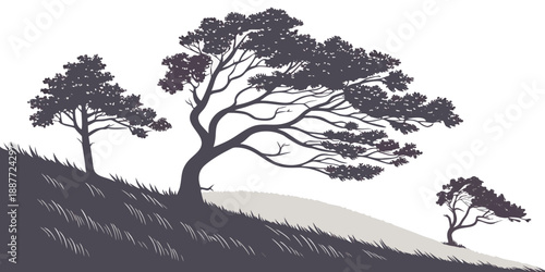 Silhouette of trees on a hill