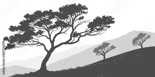 Silhouette of trees on a hill