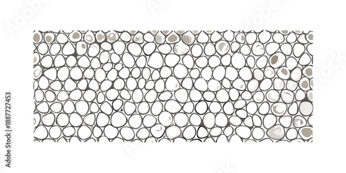 Abstract pattern of interconnected circles