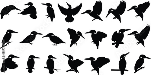 Kingfisher bird silhouette collection showing flying, perching and landing poses, isolated on white background, elegant wildlife illustration set for nature, freedom, and animal design concepts